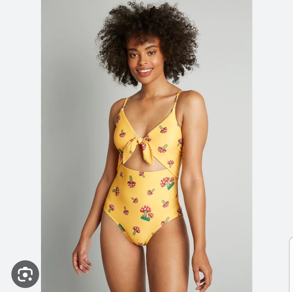 NWT Modcloth Siena One-Piece Swimsuit